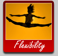 Flexibility